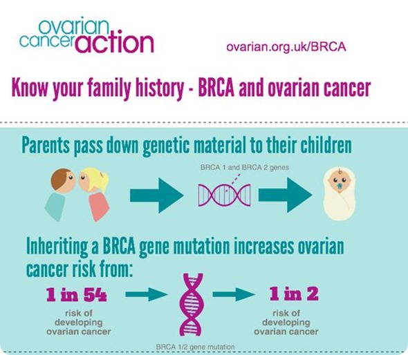 07f998c9b21a6b5f6494b685f82621f3