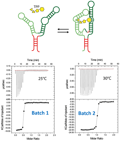 ITC-guided crystallization of the TPP riboswitch bound to its ligand