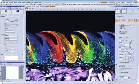 Bringing images to life with cellSens