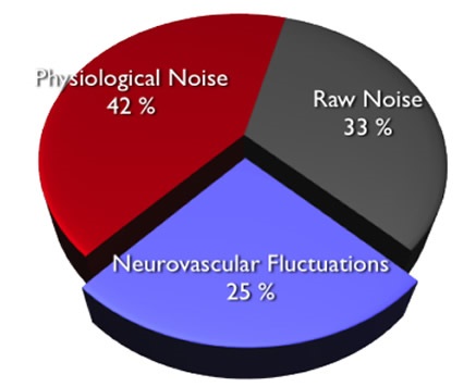 Contributions to Resting State BOLD Signal Fluctuations.