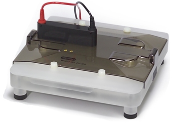 Whole Gel Eluter and Mini Whole Gel Eluter from Bio-Rad