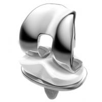 P.F.C. Sigma Revision Knee System from DePuySynthes