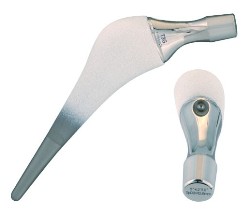 TWIST Femoral Stem from Euros