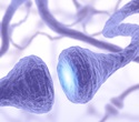 Global analysis shows rising burden of ALS and motor neuron diseases