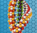 Genetic study reveals how DNA repeats expand with age