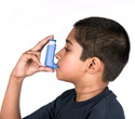 Research opens new avenues for treating asthma and other inflammatory diseases