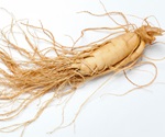 Review highlights immunomodulatory and therapeutic effects of ginseng