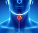 Study identifies thyroid hormone pathway as key player in prostate cancer development
