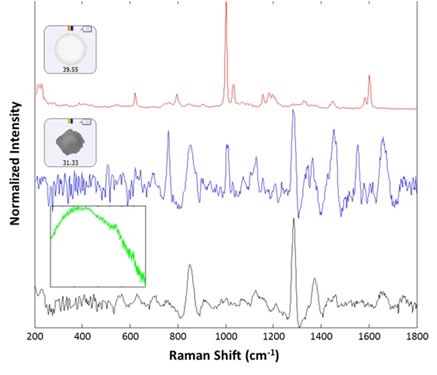 Representative spectra collected from the filtered lysozyme sample: membrane filter background (black), lysozyme aggregate (blue), polystyrene sphere (red). The inset (green) shows the spectrum of a rubber particle that was found in the sample
