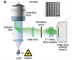 Andor Zyla sCMOS Camera enables instantaneous imaging of neuronal activity across whole organism for the first time