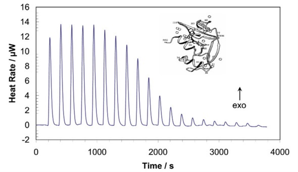 ITC allows the rapid and accurate assessment of binding reactions, without the need to develop new assay protocols for each biomolecule or ligand. The stoichiometry of binding, and the association constant, enthalpy and entropy of the reaction can all be directly determined using just nanomoles of material. Note: ITC can characterize a binding reaction in about one hour.