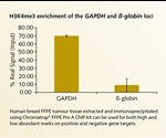 Highly efficient ChIP assay kit for FFPE samples