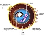 Using Dynamic Light Scattering Technique to Measure the Size of Submicron Liposomes