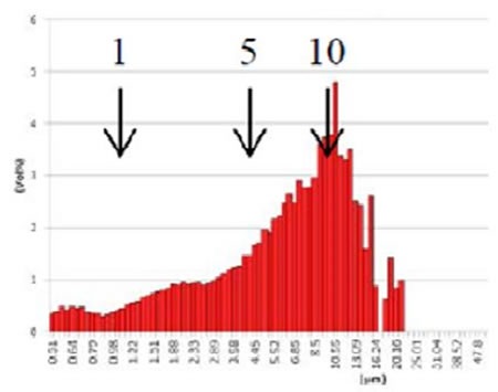 GMV liposome after extrusion through 5µm filter