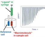 Using Isothermal Titration Calorimetry for Biophysical Characterization of Chromatin-Binding Proteins