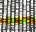 Whole-genome sequencing improves PARP inhibitor treatment prediction