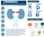 Nutrition in Kidney Disease