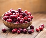 Cranberry extracts may improve intestinal microbiota and help prevent chronic diseases