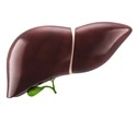 New insights into long-term liver injury after Kasai portoenterostomy for biliary atresia