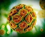 Infection with one HPV type strongly increases risk of reinfection in men