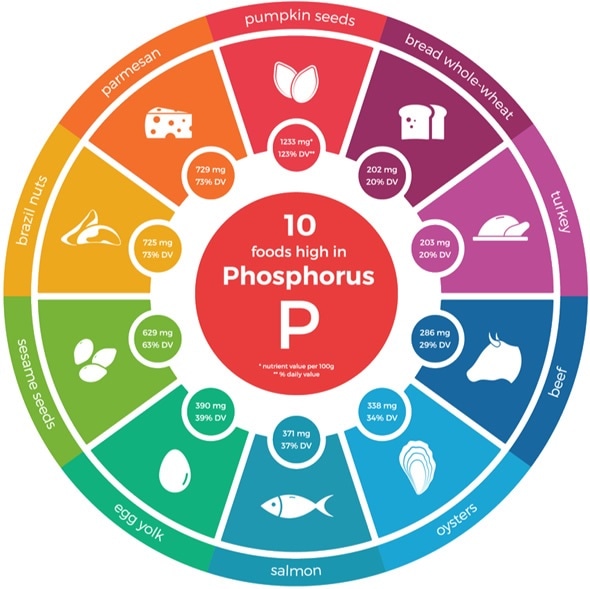 Phosphorus Rich Foods