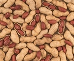 New US guidelines developed for the prevention of peanut allergy