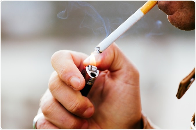 Image Credit: MeskPhotography / Shutterstock