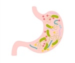 Risk Factors for Small Intestinal Bacterial Overgrowth