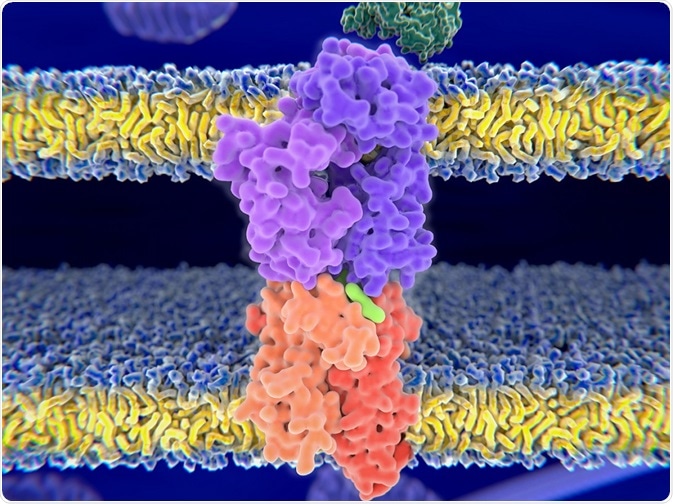 Juan Gaertner/Shutterstock.com