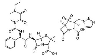 Piperacillin & Tazobactam. Most active antibiotic against Klebisella bacteria in pneumonia, Urinary tract infections (UTIs), meningitis, blood diseases etc.