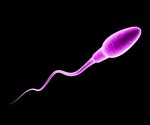 How is Male Infertility Diagnosed?