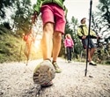 New research highlights crucial role of continuous walking patterns for cardiovascular benefit