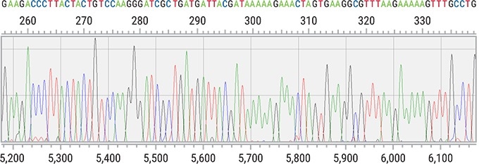 Representative portion of an electropherogram (Top Panel) generated using the Applied Biosystems BigDye® v3.1 Kit, Polymer 7 and Hitachi base calling software; (Bottom Panel) whole data file.
