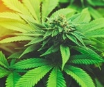 Marijuana use linked with risk of death from hypertension, study says
