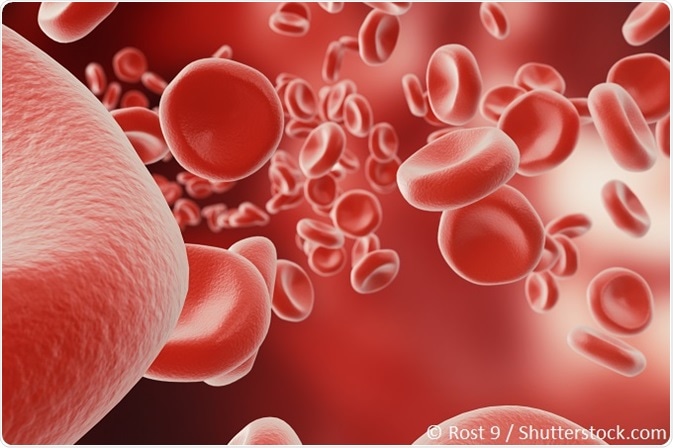 Blood cells