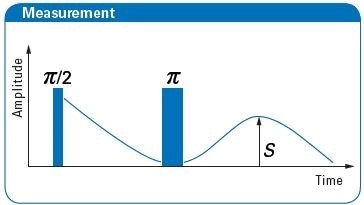 Note: Only soluble fluorine is detected due to the very fast signal decay of immobilized or insoluble fluorine, for example in calcium fluoride (CaF2) or magnesium fluoride (MgF2). The soluble fluorine contributes to the desired health benefit.
