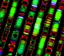 Researchers sequence human genome using pocket-sized device