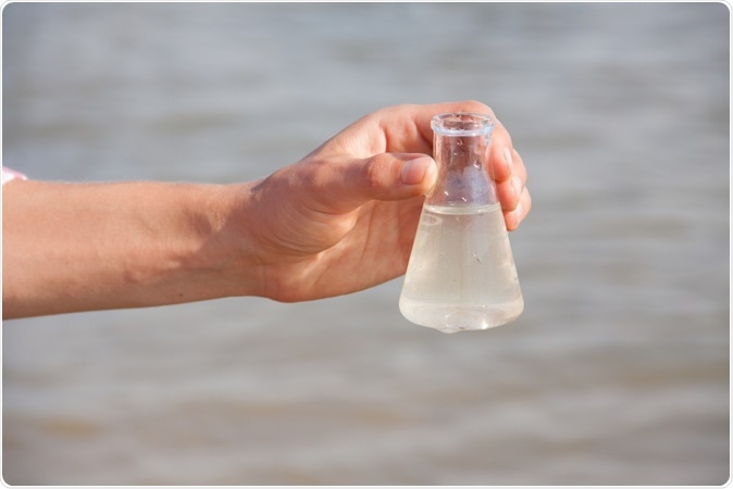 Image Credit: Merkushev Vasiliy / Shutterstock