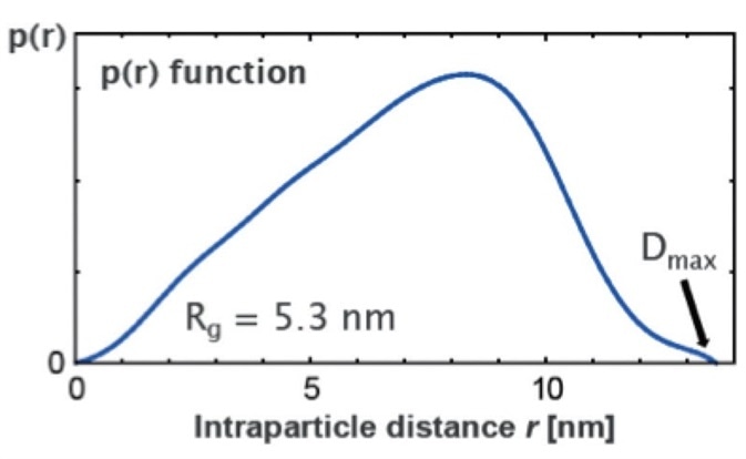Pair distance distribution function p(r) for the protein apoferritin.