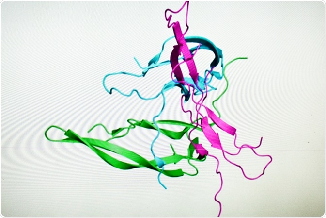 Image Credit: Sergei Drozd / Shutterstock