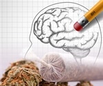 Smoking pot can damage memory study confirms