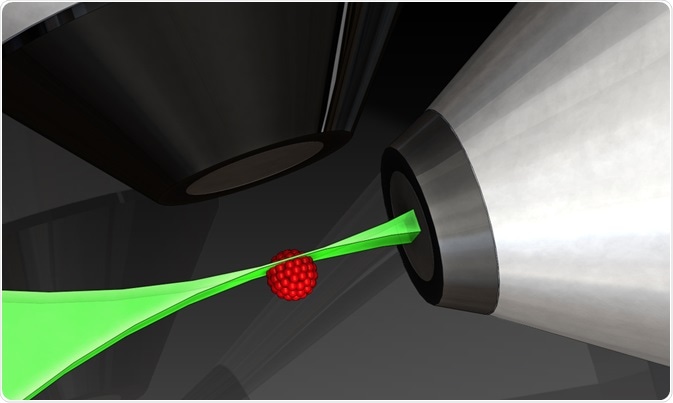 Sample within fluorescent microscope - By Micha Weber
