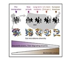 U.S. immigration changes a person's gut microbiome