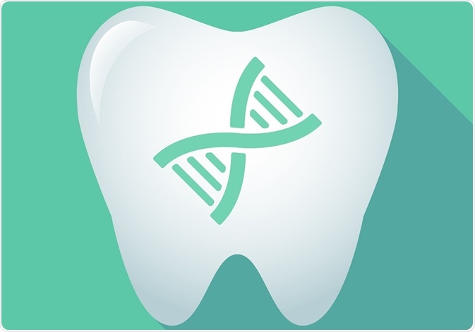Tooth with DNA (genes) in the centre - an illustration by Blablo101