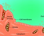 Clathrin-mediated Endocytosis