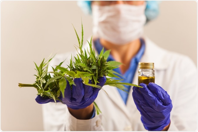 Image Credit: ElRoi / Shutterstock