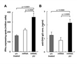 Researchers develop safe, potent mRNA vaccine adjuvants that can elicit effective immune response