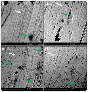 Representative SEM images of SS wire of control group
