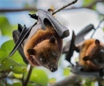 Nipah virus kills nine in Kerala, India