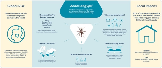 Image Credit: Oxitec Ltd